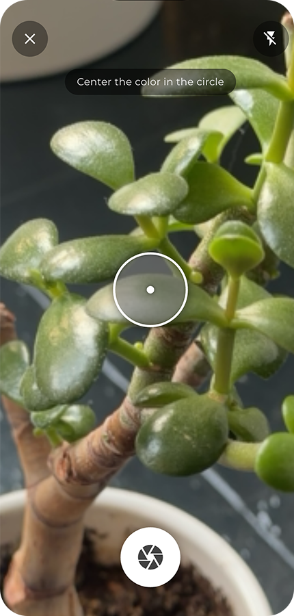 Mixura color results screen